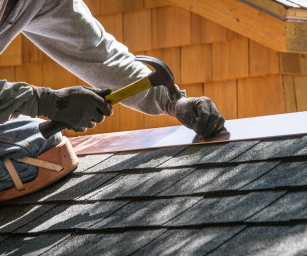 Best Roof Gutter Cleaning  in Wilson, AR
